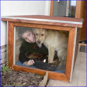 SINB kutyaház ablakos